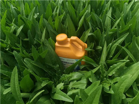水溶肥，翠姆，拉姆拉