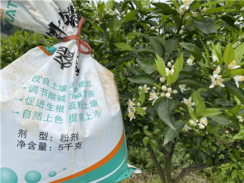 水溶肥，翠姆，拉姆拉