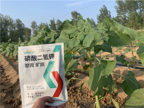 水溶肥，翠姆，拉姆拉