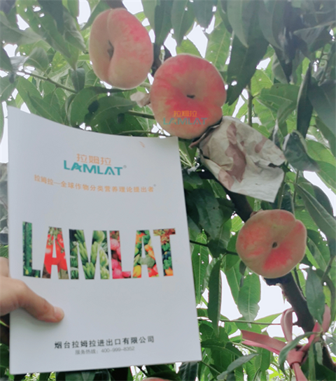 水溶肥，翠姆，拉姆拉