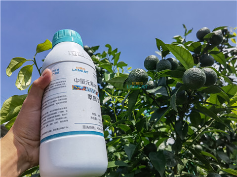 水溶肥，翠姆，拉姆拉