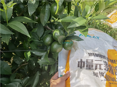 水溶肥，翠姆，拉姆拉