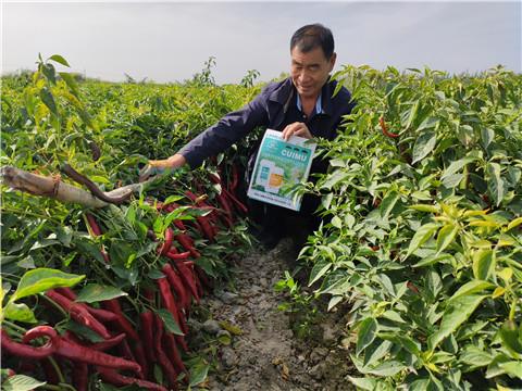水溶肥，翠姆，拉姆拉