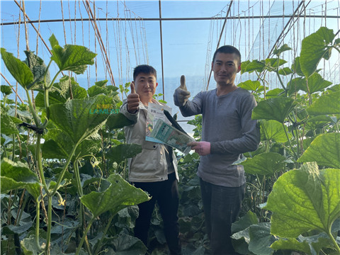 水溶肥，翠姆，拉姆拉