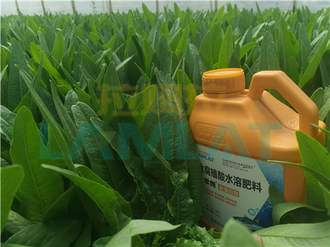 水溶肥，翠姆，拉姆拉