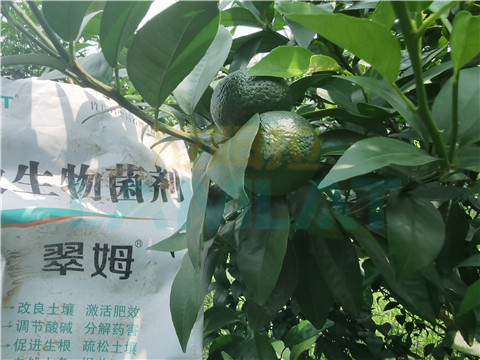 微生物菌劑，翠姆，拉姆拉