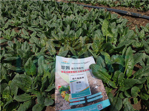 水溶肥，翠姆，拉姆拉