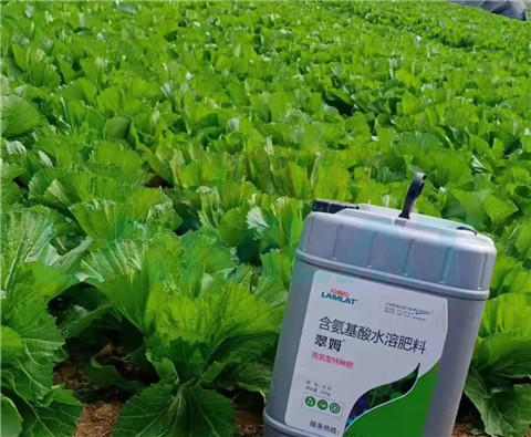 水溶肥，翠姆，拉姆拉