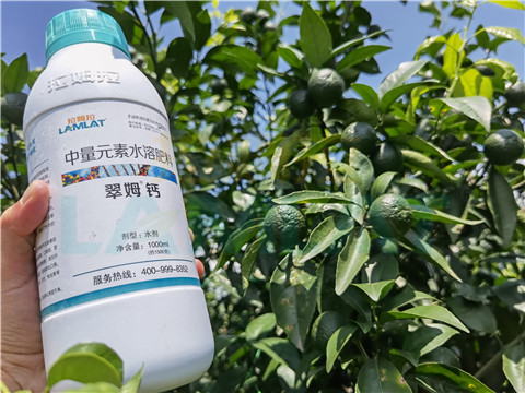 水溶肥，拉姆拉，翠姆