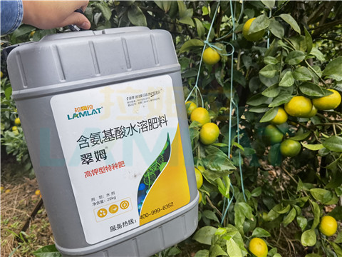 水溶肥，拉姆拉，翠姆