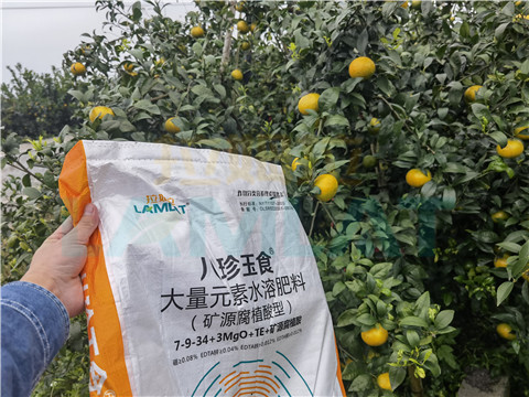 水溶肥，拉姆拉，翠姆