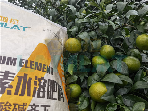 水溶肥，拉姆拉，翠姆