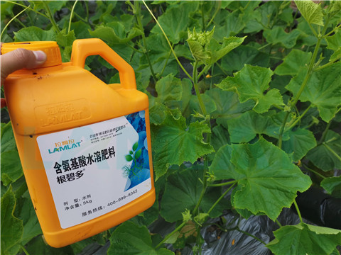 水溶肥，拉姆拉，翠姆