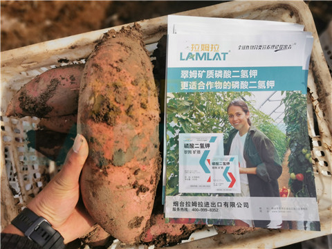 水溶肥，拉姆拉，翠姆