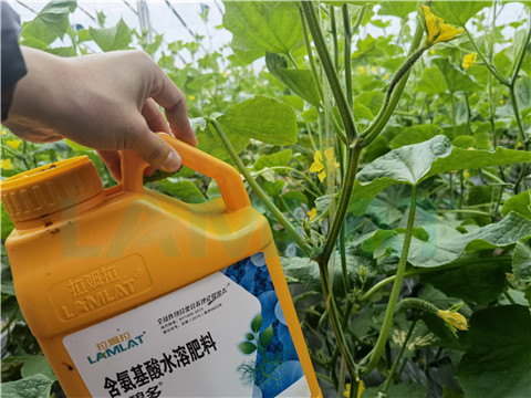 生根劑，拉姆拉，翠姆