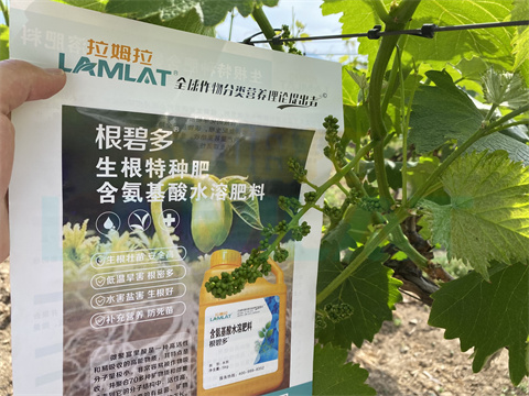 水溶肥，拉姆拉，翠姆