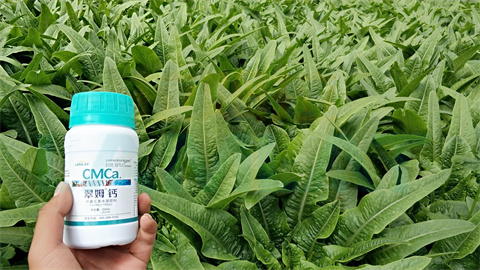 水溶肥，拉姆拉，翠姆