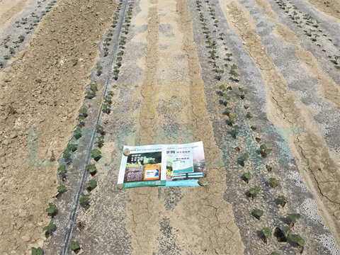 水溶肥，拉姆拉，翠姆