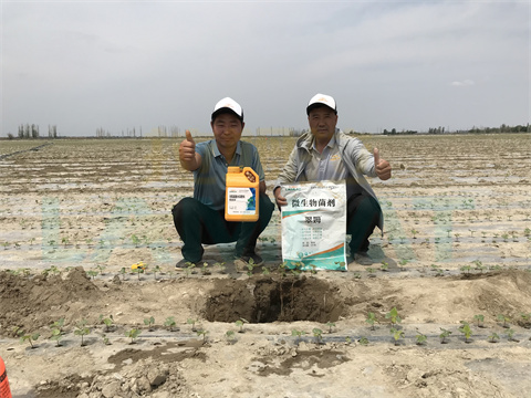 水溶肥，拉姆拉，翠姆