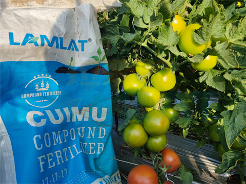 水溶肥，拉姆拉，翠姆