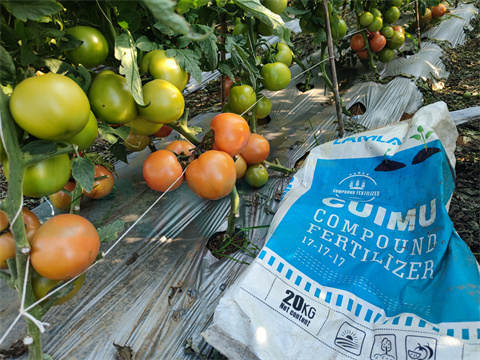 水溶肥，拉姆拉，翠姆