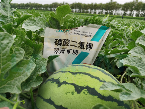 水溶肥，拉姆拉，翠姆