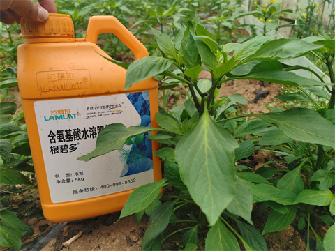 水溶肥，翠姆，拉姆拉