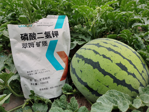 水溶肥，翠姆，拉姆拉