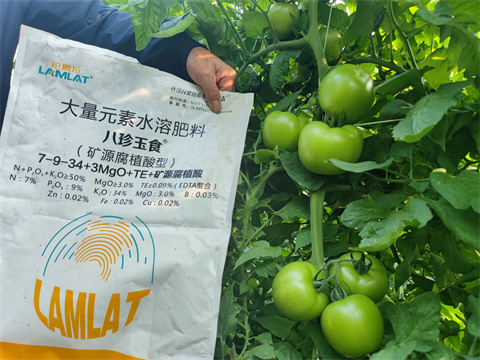 顆粒水溶肥,番茄,翠姆水溶肥 顆粒水溶肥,番茄,翠姆水溶肥