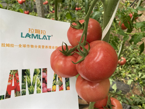 水溶肥,翠姆,西紅柿水溶肥 水溶肥,翠姆,西紅柿水溶肥