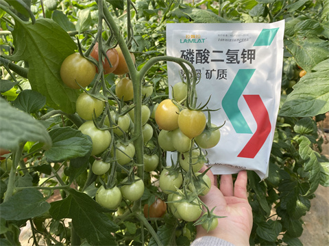 磷酸二氫鉀,翠姆,拉姆拉水溶肥 磷酸二氫鉀,翠姆,拉姆拉水溶肥