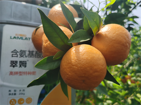 水溶肥品牌,翠姆,柑橘水溶肥 水溶肥品牌,翠姆,柑橘水溶肥