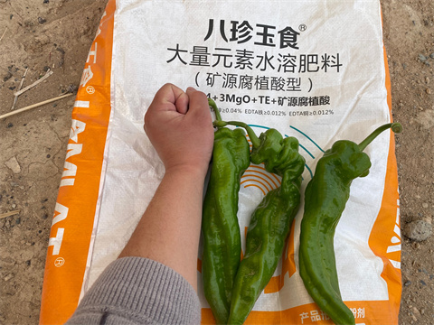 水溶肥,翠姆,辣椒高產(chǎn)技術(shù) 水溶肥,翠姆,辣椒高產(chǎn)技術(shù)