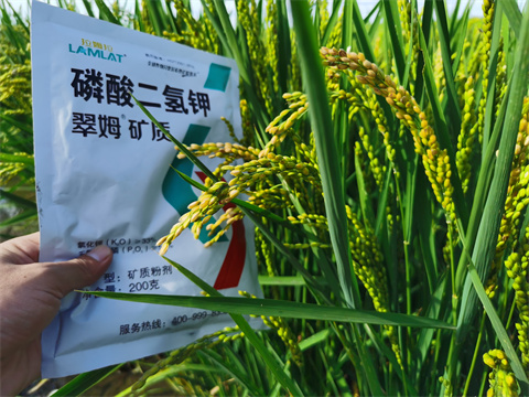 磷酸二氫鉀,翠姆,水稻葉面肥 磷酸二氫鉀,翠姆,水稻葉面肥