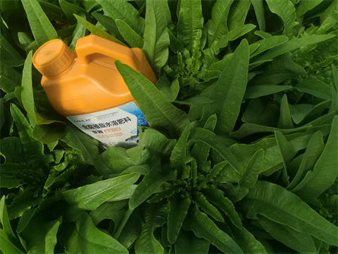 水溶肥,翠姆,拉姆拉 水溶肥,翠姆,拉姆拉