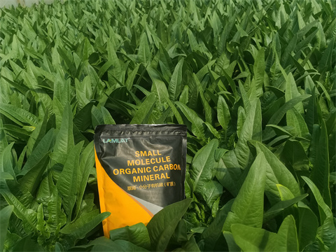 水溶肥,翠姆,拉姆拉 水溶肥,翠姆,拉姆拉