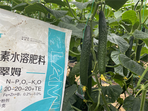 水溶肥,翠姆,黃瓜水溶肥 水溶肥,翠姆,黃瓜水溶肥