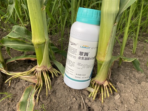 葉面肥,翠姆,玉米葉面肥 葉面肥,翠姆,玉米葉面肥