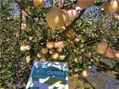 水溶肥,翠姆,蘋果水溶肥 水溶肥,翠姆,蘋果水溶肥