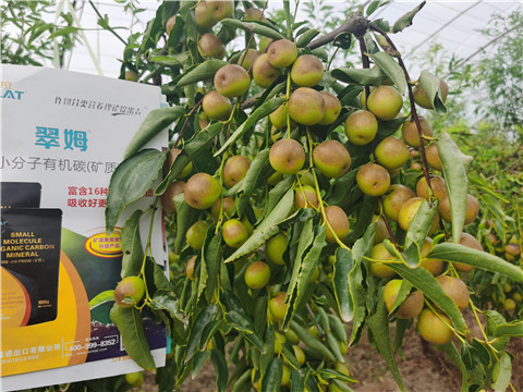 水溶肥,翠姆,冬棗水溶肥 水溶肥,翠姆,冬棗水溶肥