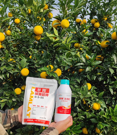 水溶肥,翠姆,沃柑水溶肥 水溶肥,翠姆,沃柑水溶肥