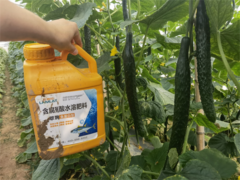 水溶肥廠家,翠姆,拉姆拉 水溶肥廠家,翠姆,拉姆拉