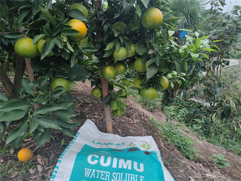 水溶肥,翠姆,柑橘種植 水溶肥,翠姆,柑橘種植