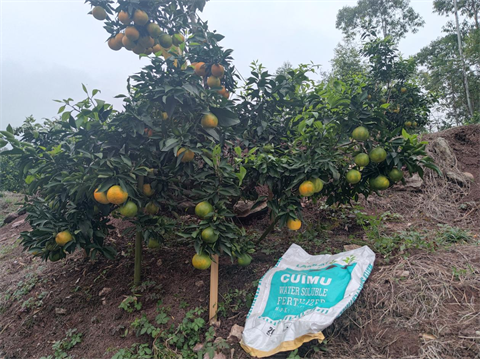 顆粒水溶肥,翠姆,拉姆拉 顆粒水溶肥,翠姆,拉姆拉