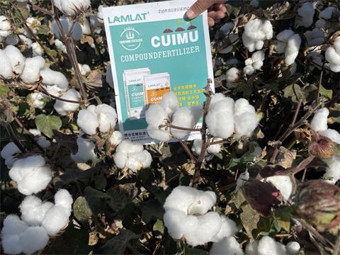 顆粒水溶肥,翠姆,拉姆拉 顆粒水溶肥,翠姆,拉姆拉