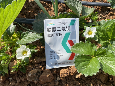 磷酸二氫鉀,翠姆,拉姆拉 磷酸二氫鉀,翠姆,拉姆拉