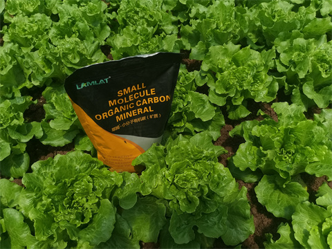 水溶肥,翠姆,拉姆拉 水溶肥,翠姆,拉姆拉