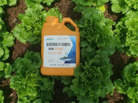 水溶肥,翠姆，蔬菜水溶肥