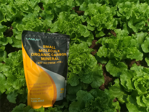 水溶肥,翠姆，蔬菜水溶肥