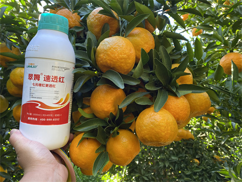 水溶肥,翠姆,椪柑種植 水溶肥,翠姆,椪柑種植